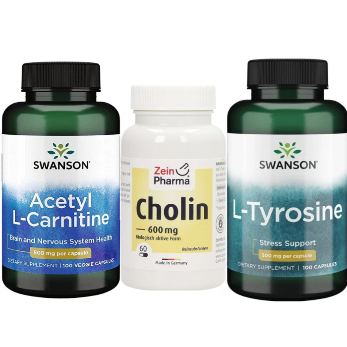 NOOTROPIC Focus and Attention Kit - Choline, Acetyl-L-Carnitine and Ty MuscleShop.lt NOOTROPIC Focus and Attention Kit - Choline, Acetyl-L-Carnitine and Ty MuscleShop.lt