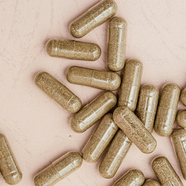 GraSole Pelynas Wormwood 90 caps kapsules