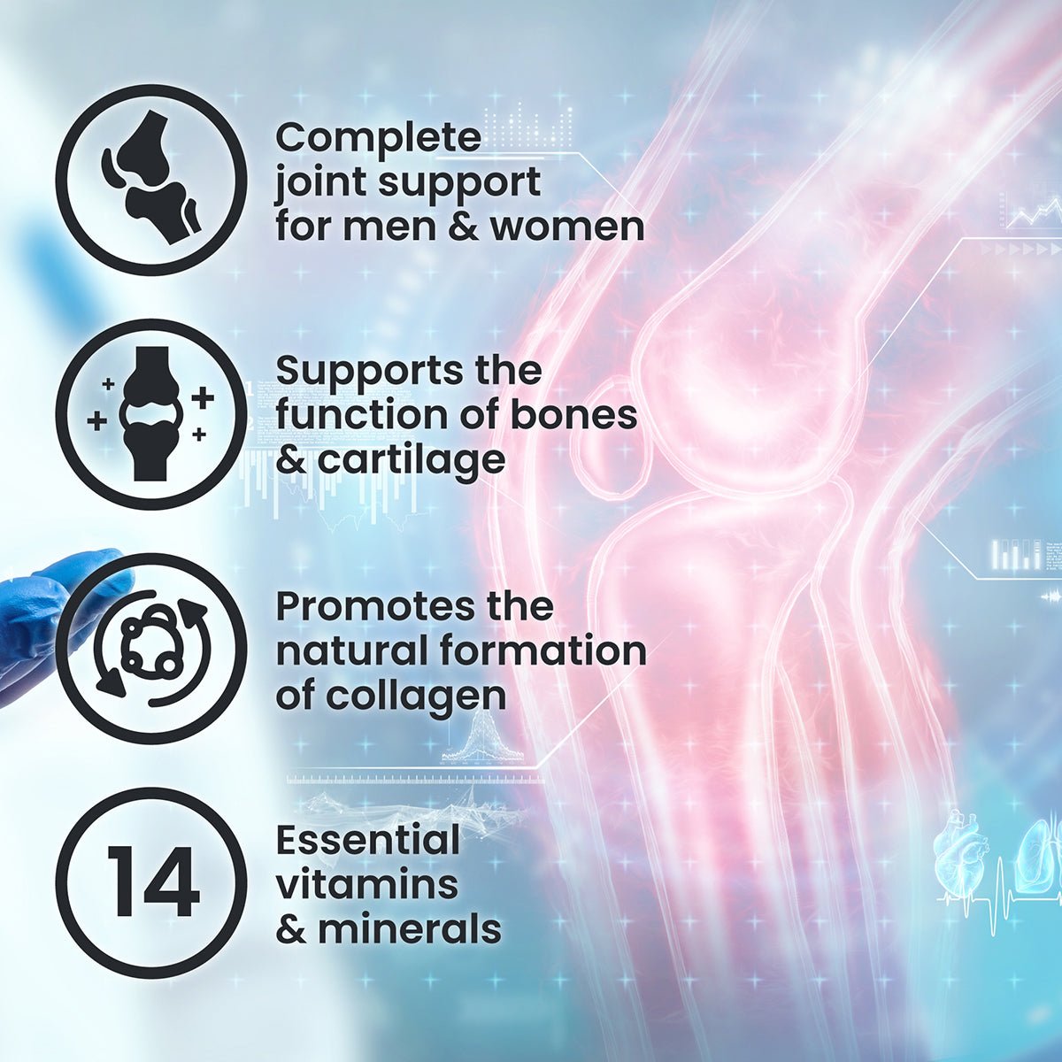 AbsoluteJoint-WebPics-03