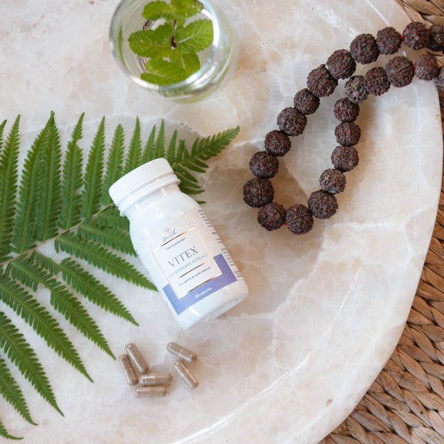 GraSole Vitex Chasterberry Extract 90 caps akcija