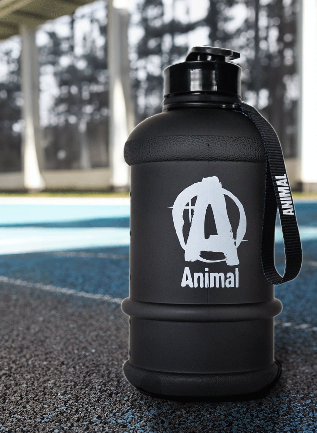 Animal-Water-South