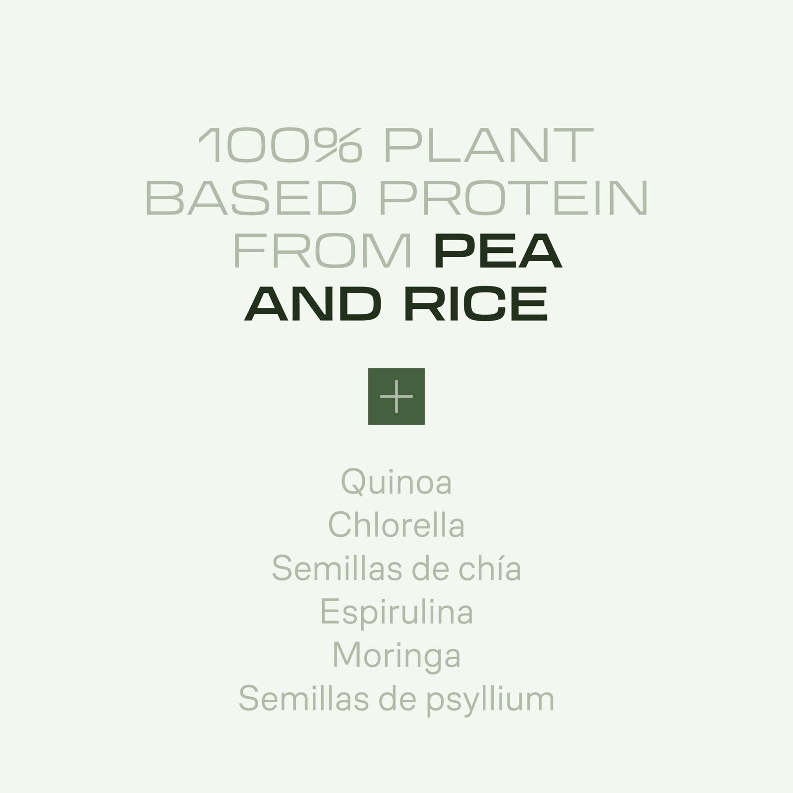 EN-beverly-infografia-vegan-protein-choco-cookies-12