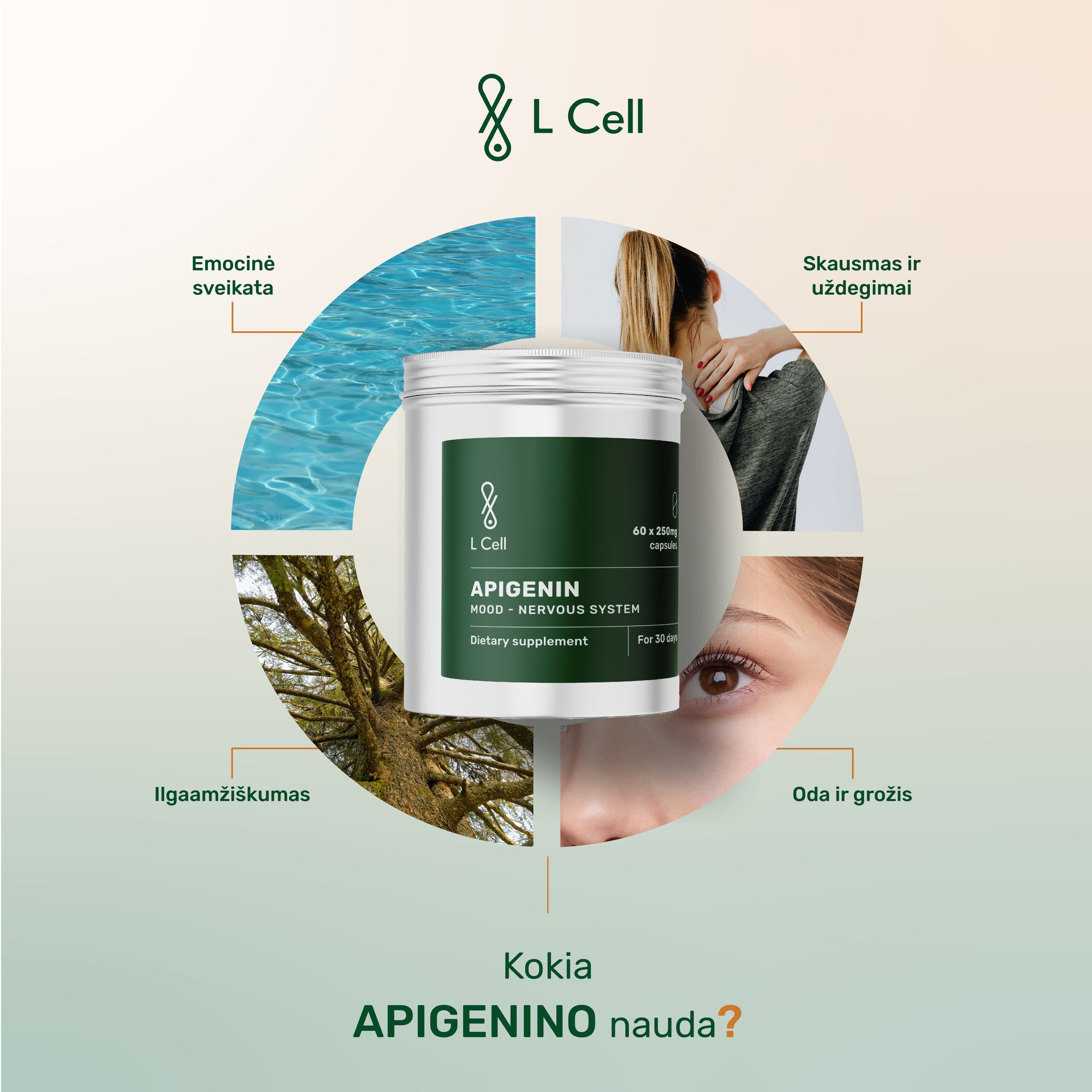 L Cell Apigenin Capsules 250mg (30 days, 60 pc.)