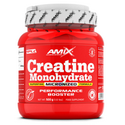 Amix Creatine Monohydrate Micronized Powder 500g