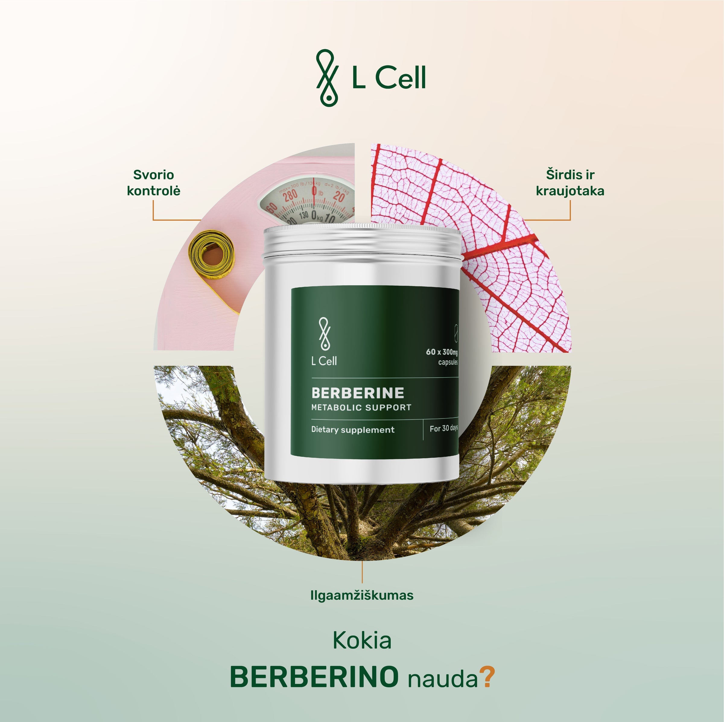 L Cell Berberinas, kapsulės 300 mg, 60 kapsulių (Copy)