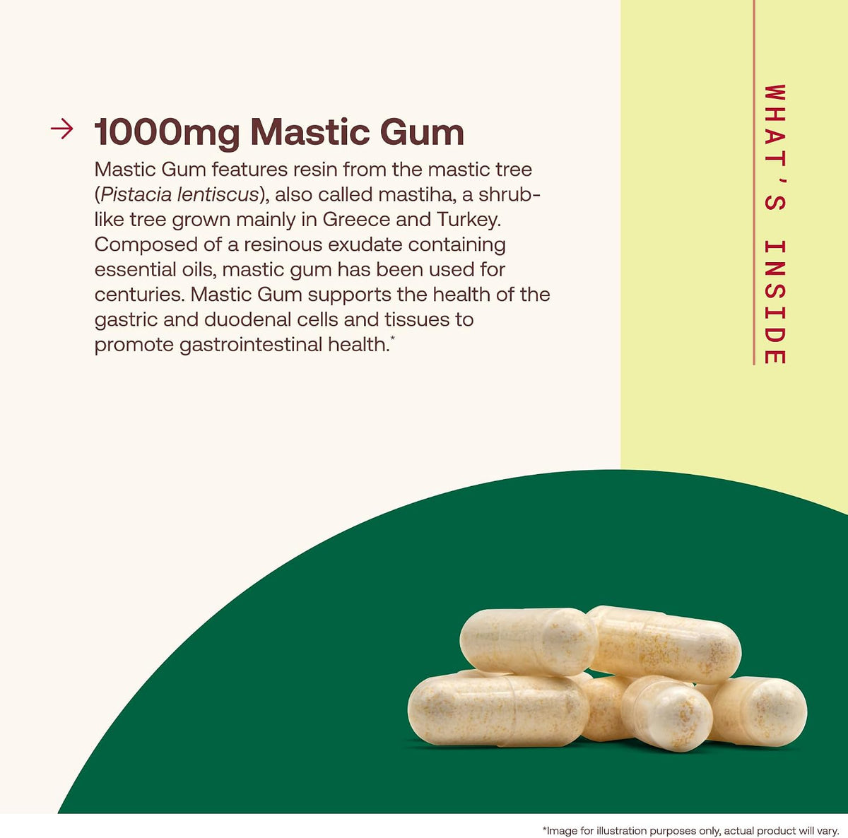 Jarrow Formulas Mastic Gum 1000 mg, 60 Veggie Caps