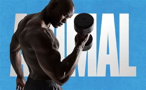 animal_micronized_creatine_500g_unflavoured_baneris