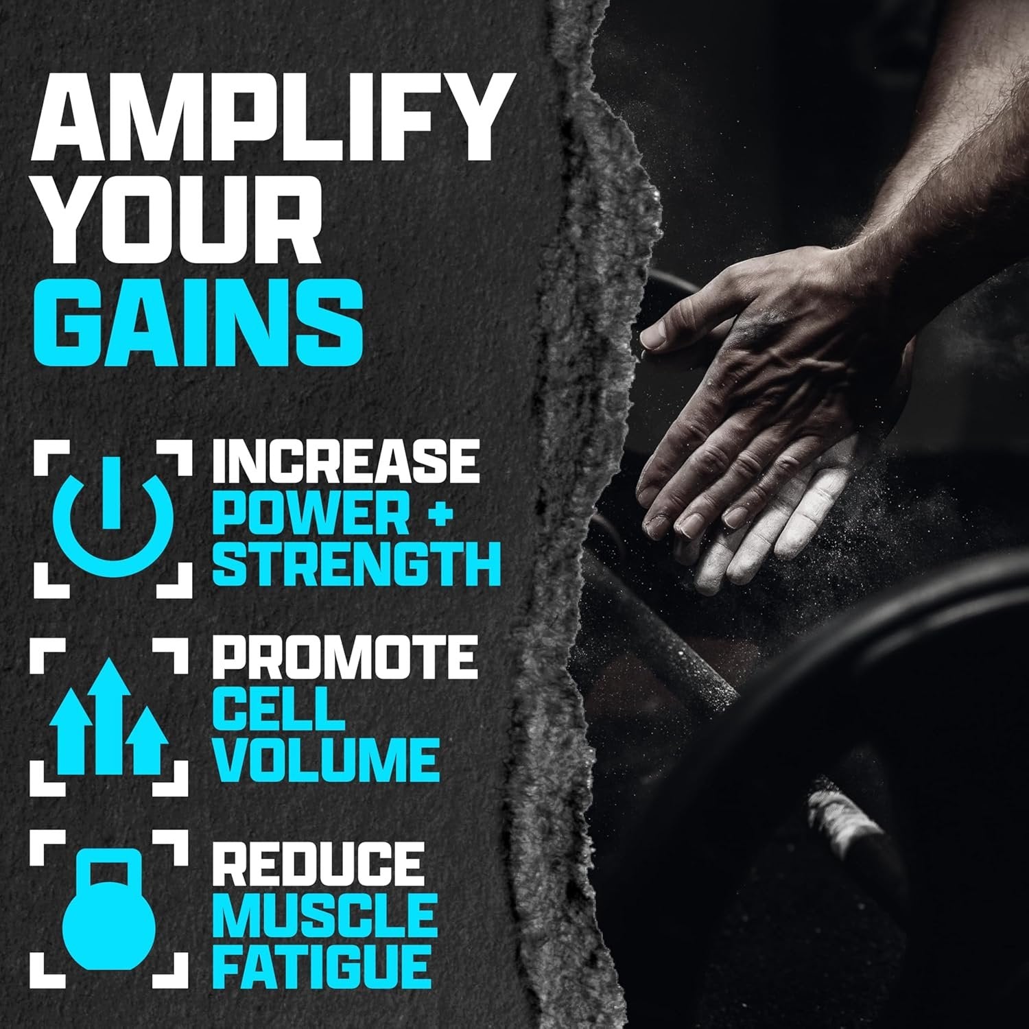 81ynjfgEnlL._AC_SL1500_