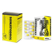 CERBERUS x somatodrol