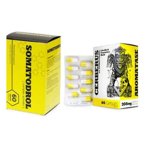 CERBERUS x somatodrol