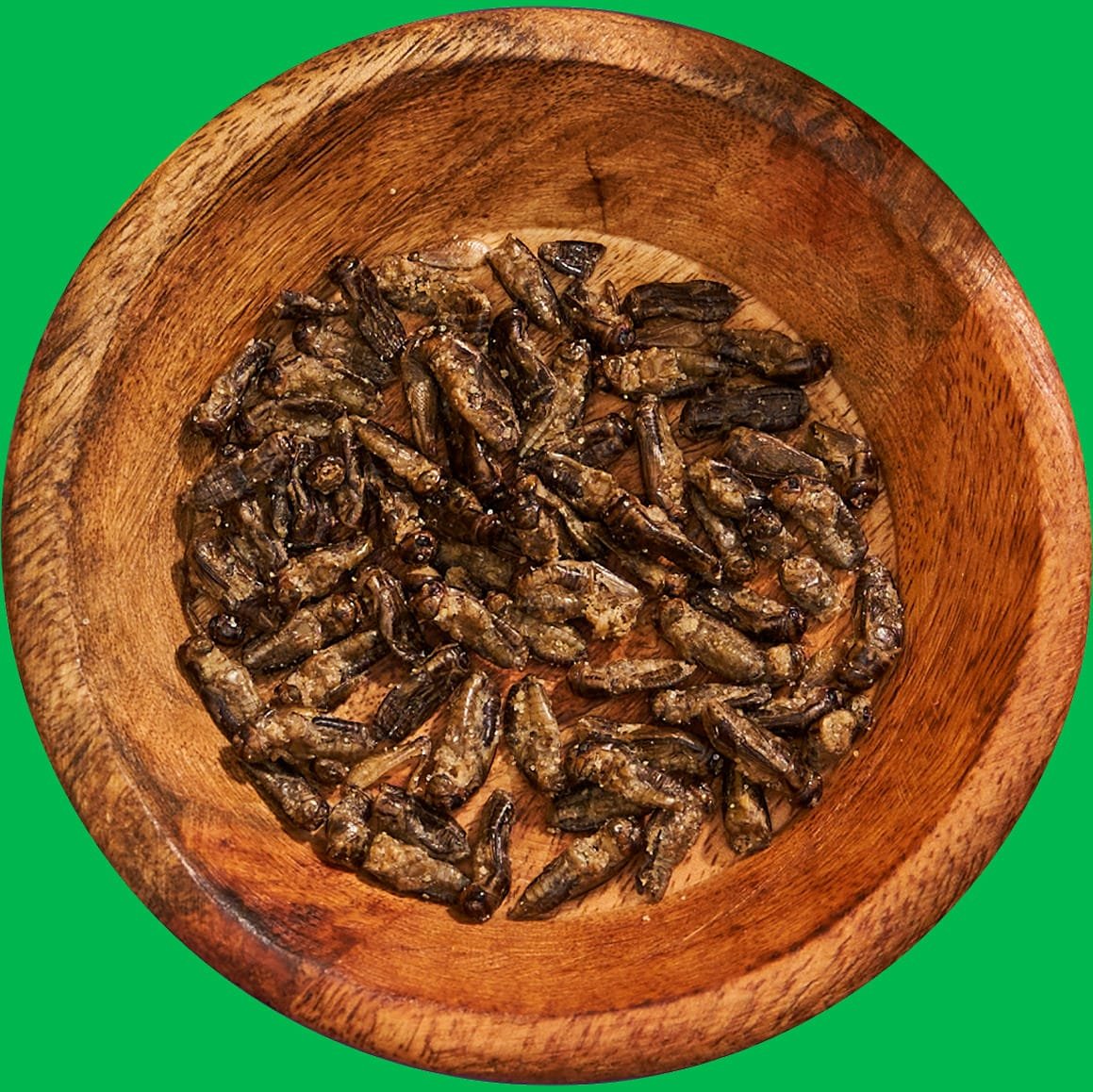 Plate-With-Crickies-No-Background-1