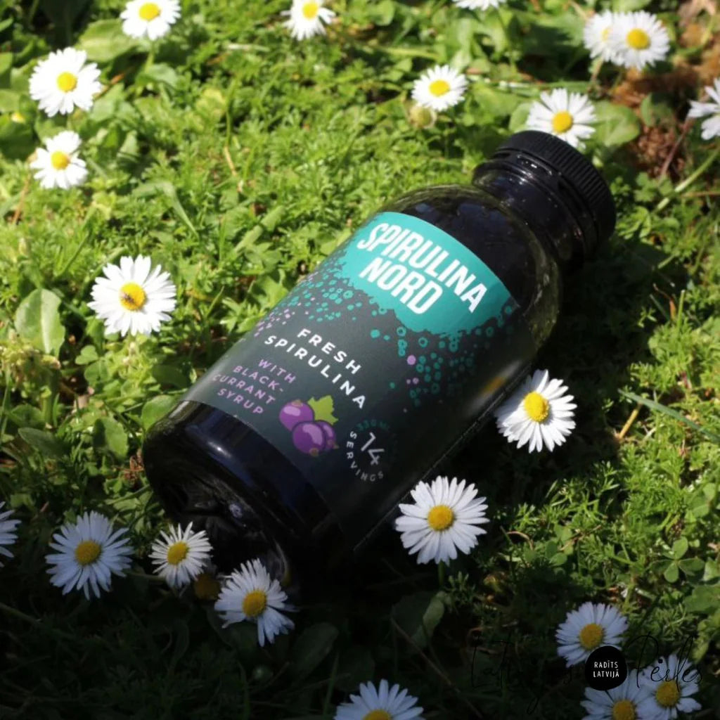 Spirulina Nord Fresh spirulina in black curranr 330ml