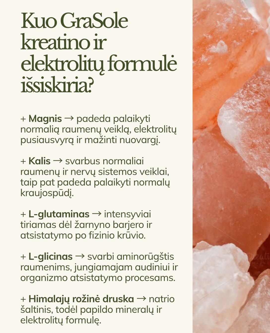 GraSole Hydracreatine + Electrolytes (unflavored)