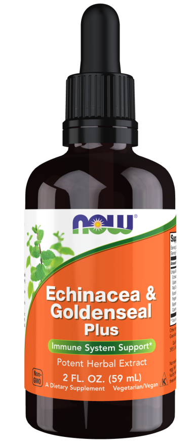NOW Foods Echinacea & Goldenseal Plus - 60 ml. kaina