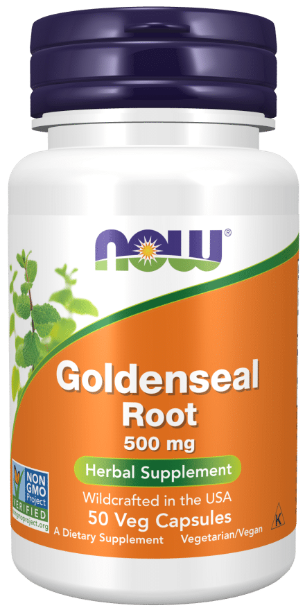 NOW Foods Goldenseal Root, 500mg - 50 vcaps kaina