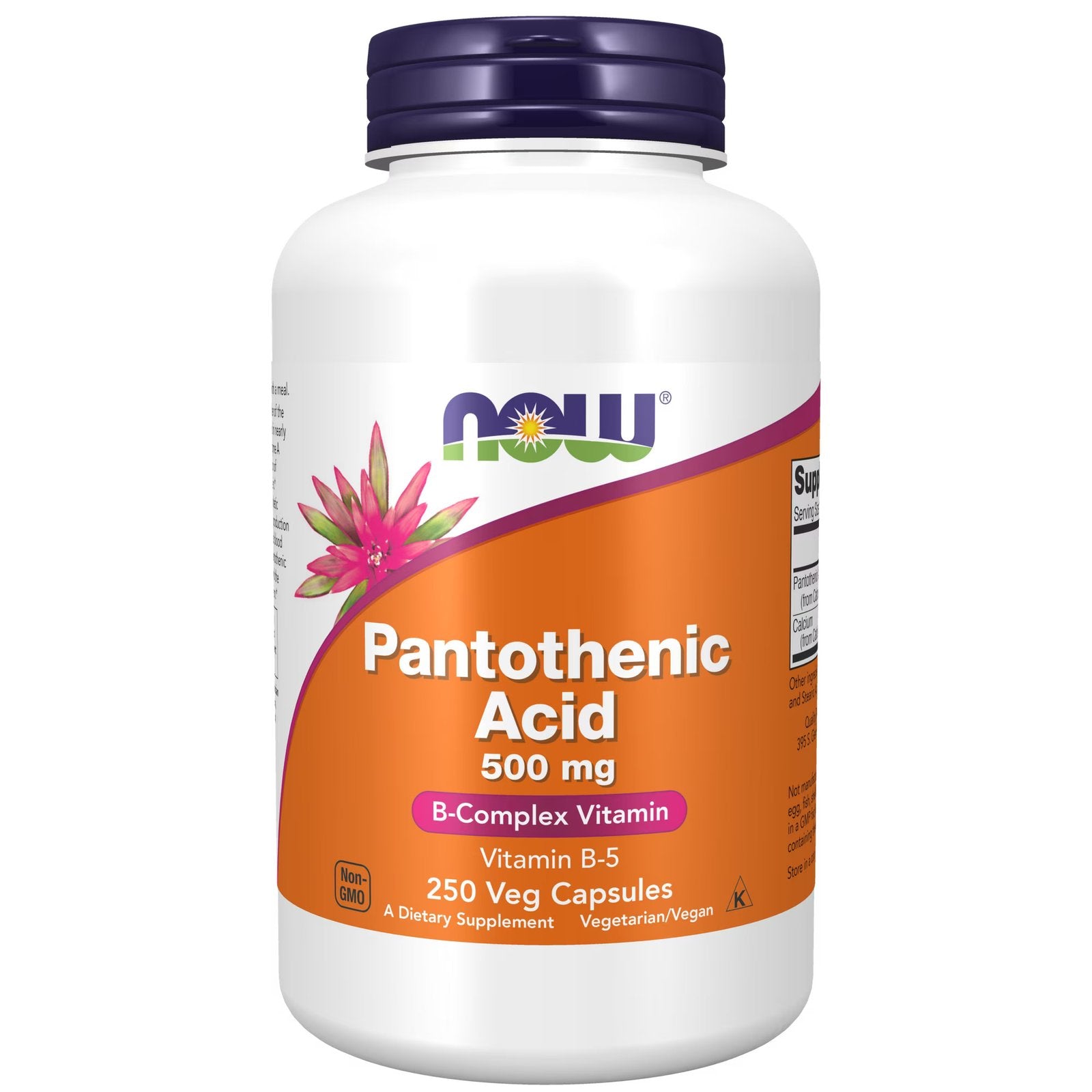 now panthotenic acid 100 veg capsules