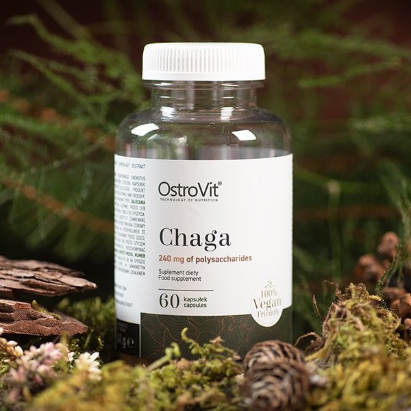 OstroVit Chaga VEGE 60 caps akcija
