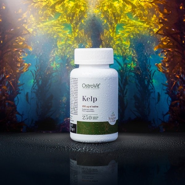 OstroVit Kelp 250 tabs foto