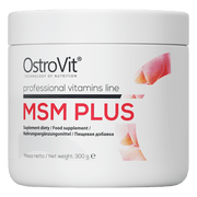 OstroVit-MSM-Plus-300-g-kaina