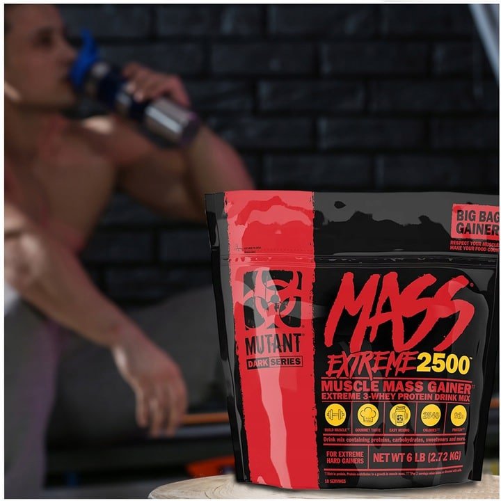 PVL Mutant Mass EXTREME 2720 g kaina gaineris