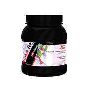 RED SUPPORT BCAA R+ - 400g akcija