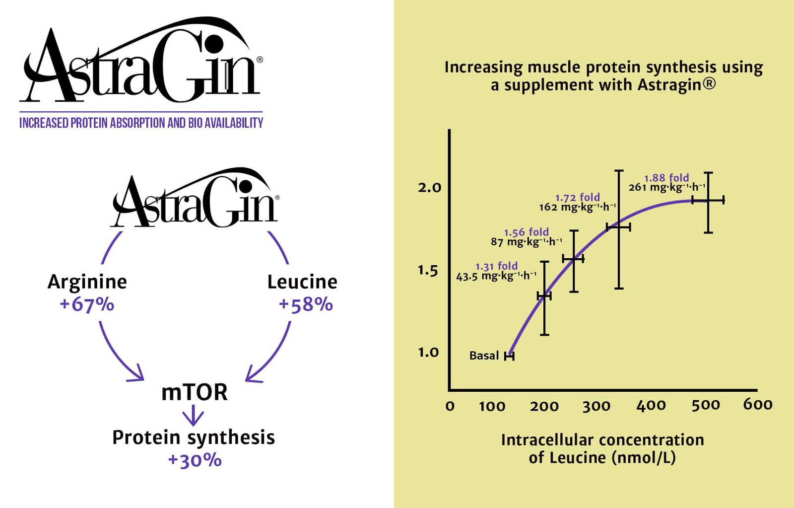 sklep_hirolab_eaa_14_en
