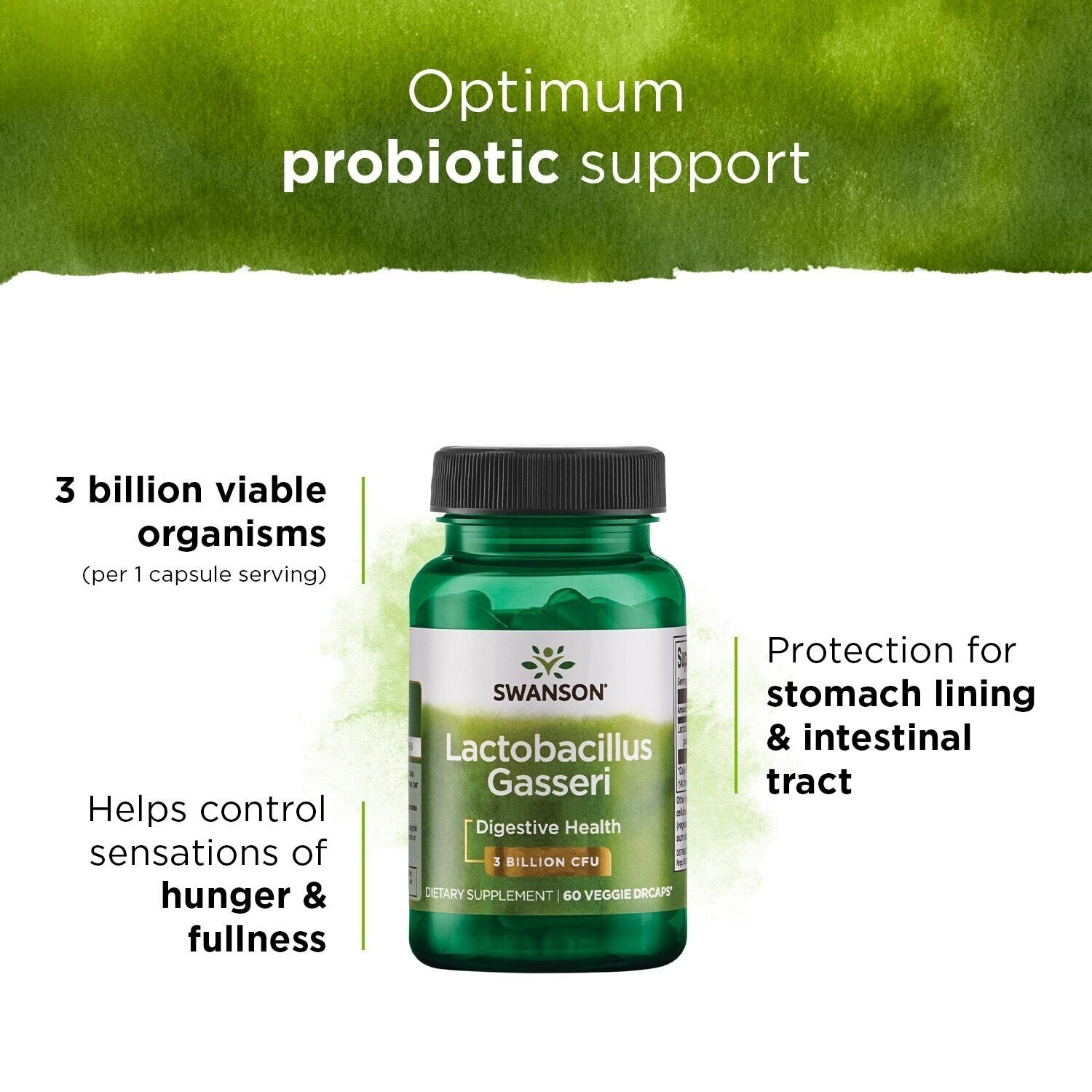 Swanson Probiotics Lactobacillus Gasseri 3 Billion CFU 60 Capsules faktai