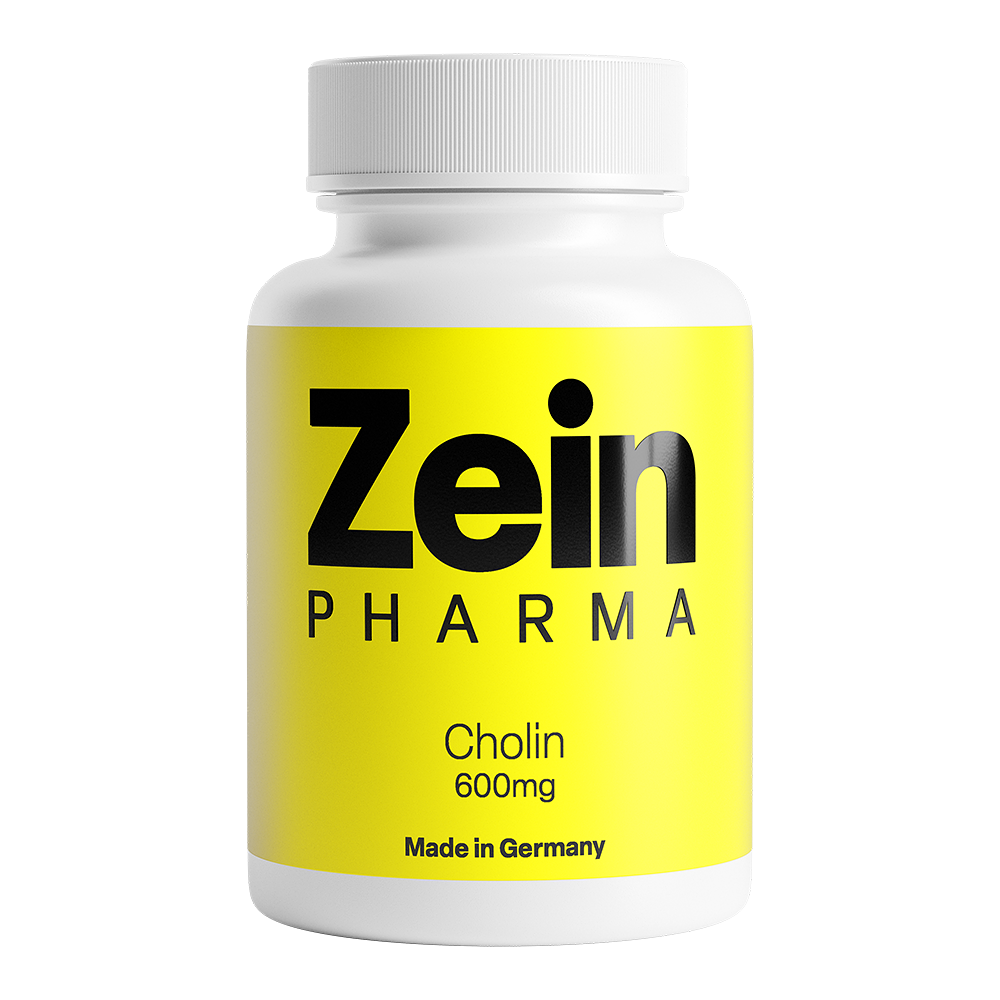 Zein Pharma Choline, 600mg - 60 caps kaina