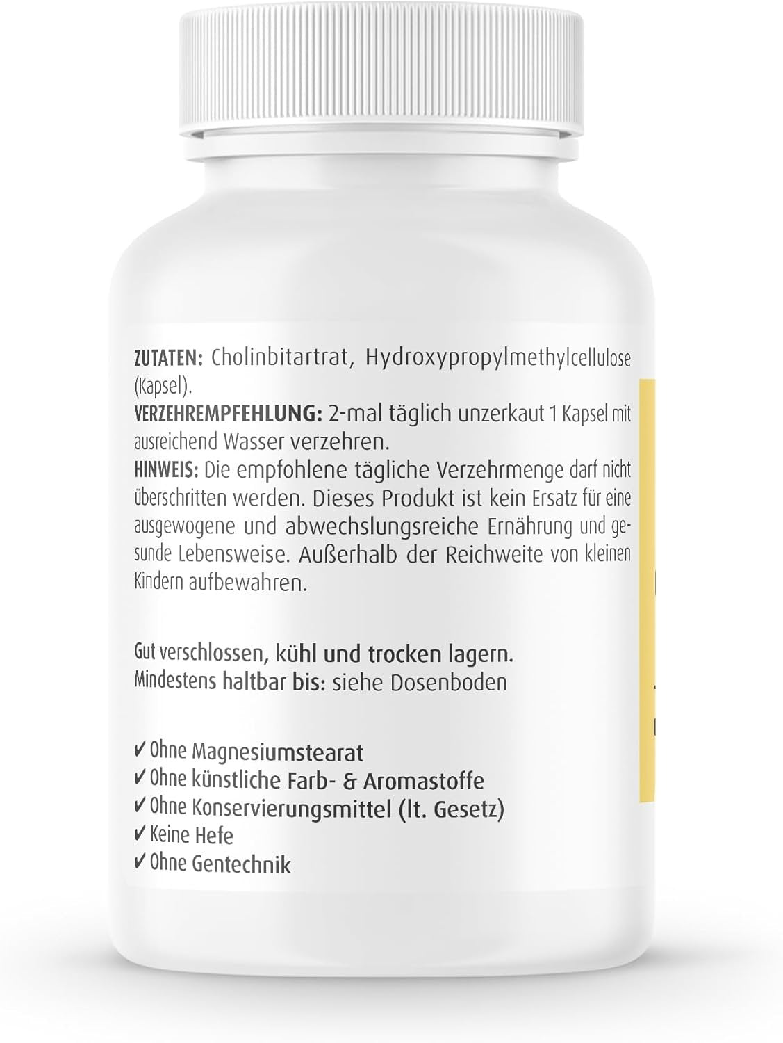 Zein Pharma Choline, 600mg - 60 caps vartojimas