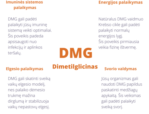 Dimetilglicinas (DMG)