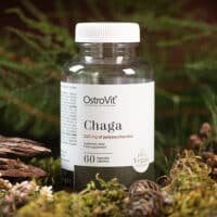 OstroVit Chaga VEGE 60 caps - Image 3