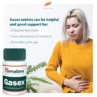 Himalaya™ Gasex 100 tab. - Image 4