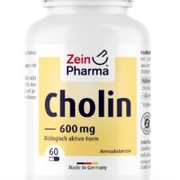 Zein Pharma Choline, 600mg - 60 caps - Image 2